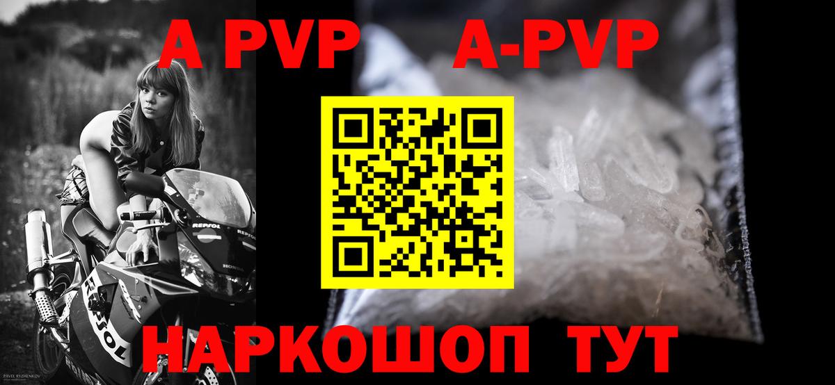 A-PVP СК КРИС Вольск