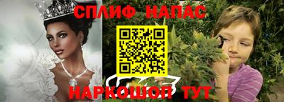 дмт Тула