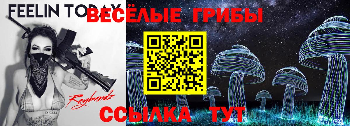 Псилоцибиновые грибы Psilocybine cubensis Вольск