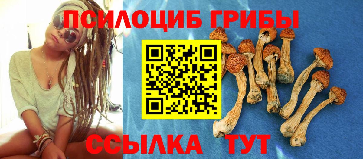 Вольск  Псилоцибиновые грибы мицелий  Вход с VPN 